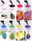 LET'S RESIN UV Resin,18 Dark Colored UV Resin, Odorless & Low Shrinkage UV Color Resin with Vibrant Colors, Black and White UV Resin Kit for Crafts, Jewelry Making, Colored Resin Casting and Coating